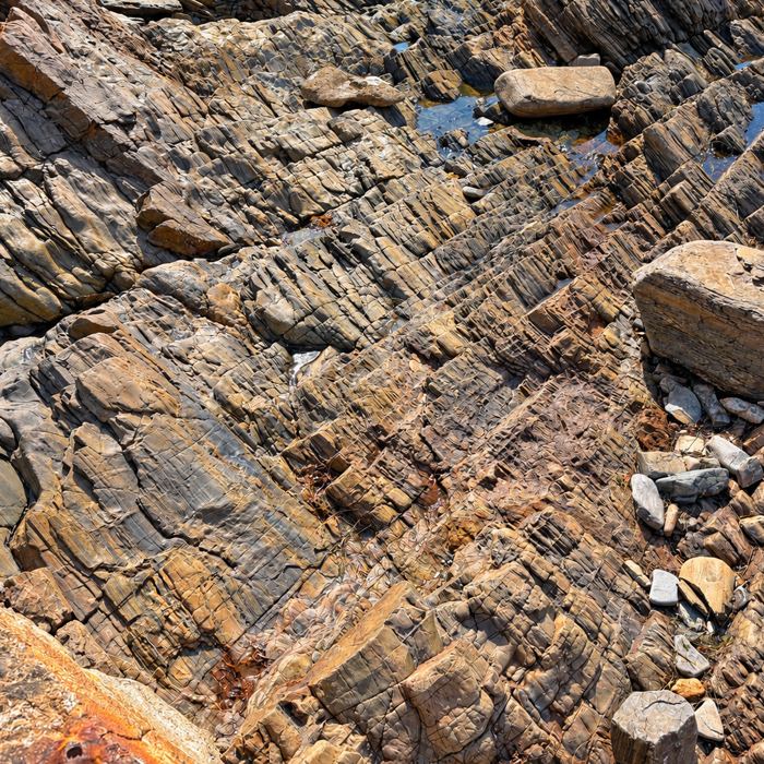 Layered rock shelf at Second Valley, Fleurieu Peninsula