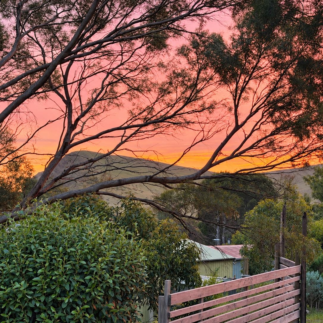 Pink sunset sky through gum trees at Second Valley